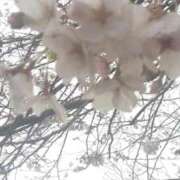 ヒメ日記 2026/04/02 10:15 投稿 ゆきの 熟女の風俗最終章 沼津店