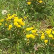 ヒメ日記 2026/04/03 09:38 投稿 ゆきの 熟女の風俗最終章 沼津店