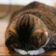 ヒメ日記 2025/05/05 08:38 投稿 るり 熟女の風俗最終章 沼津店