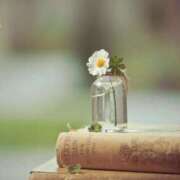 ヒメ日記 2025/04/23 14:50 投稿 はるか ふぞろいの人妻たち