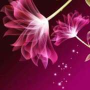 ヒメ日記 2025/06/07 10:00 投稿 はるか ふぞろいの人妻たち