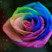 ヒメ日記 2025/08/01 18:40 投稿 はるか ふぞろいの人妻たち