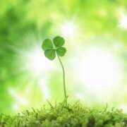 ヒメ日記 2025/08/24 17:50 投稿 はるか ふぞろいの人妻たち