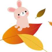 ヒメ日記 2025/09/25 04:14 投稿 吉岡 熟女の風俗最終章 横浜本店