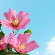 ヒメ日記 2025/08/22 23:45 投稿 結城 パンドラ（吉原）