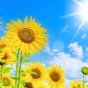 ヒメ日記 2025/09/03 12:04 投稿 結城 パンドラ（吉原）