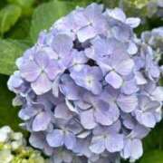 ヒメ日記 2025/06/09 18:51 投稿 さや ナイトヴィーナス