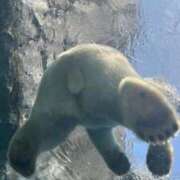 ヒメ日記 2025/07/17 21:31 投稿 さや ナイトヴィーナス