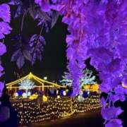 さや 💚今月の予定💚 ナイトヴィーナス