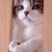 ヒメ日記 2025/04/27 23:31 投稿 葉山　こずえ 熟女パラダイス甲府店（カサブランカグループ）