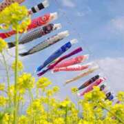 ヒメ日記 2025/05/05 23:23 投稿 葉山　こずえ 熟女パラダイス甲府店（カサブランカグループ）