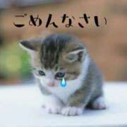 ヒメ日記 2025/05/20 00:13 投稿 葉山　こずえ 熟女パラダイス甲府店（カサブランカグループ）