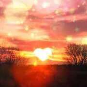 ヒメ日記 2025/05/25 07:23 投稿 葉山　こずえ 熟女パラダイス甲府店（カサブランカグループ）