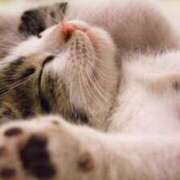 ヒメ日記 2025/08/27 01:15 投稿 葉山　こずえ 熟女パラダイス甲府店（カサブランカグループ）