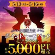 ヒメ日記 2025/05/14 17:04 投稿 ここな 水戸人妻花壇