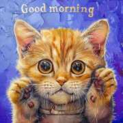 ヒメ日記 2025/05/18 06:24 投稿 ここな 水戸人妻花壇