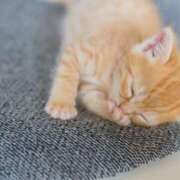 ヒメ日記 2025/06/04 08:45 投稿 ここな 水戸人妻花壇