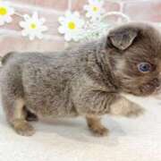 ヒメ日記 2025/06/15 10:45 投稿 ここな 水戸人妻花壇