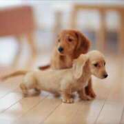 ヒメ日記 2025/08/07 22:03 投稿 ここな 水戸人妻花壇