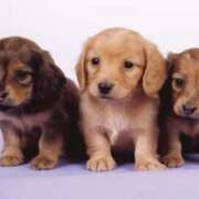 ヒメ日記 2025/08/26 12:07 投稿 ここな 水戸人妻花壇