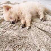 ヒメ日記 2025/08/27 15:08 投稿 ここな 水戸人妻花壇