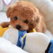 ヒメ日記 2025/09/01 16:33 投稿 ここな 水戸人妻花壇