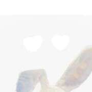 ヒメ日記 2025/04/23 21:38 投稿 める ビギナーズ神戸