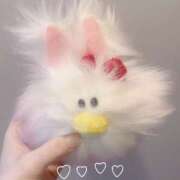 ヒメ日記 2025/07/25 13:07 投稿 める ビギナーズ神戸