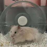 ヒメ日記 2025/06/10 23:00 投稿 メアリ Club Hearts