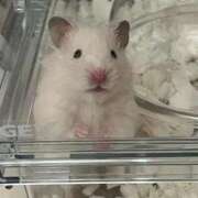 ヒメ日記 2025/06/19 18:02 投稿 メアリ Club Hearts