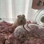 ヒメ日記 2025/09/07 19:29 投稿 メアリ Club Hearts