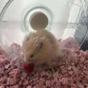 ヒメ日記 2025/09/19 10:02 投稿 メアリ Club Hearts