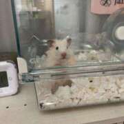 ヒメ日記 2025/10/24 03:40 投稿 メアリ Club Hearts