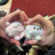 ヒメ日記 2026/01/11 21:39 投稿 メアリ Club Hearts