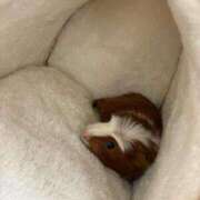 ヒメ日記 2026/01/13 00:12 投稿 メアリ Club Hearts