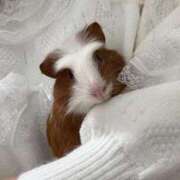 ヒメ日記 2026/01/23 11:29 投稿 メアリ Club Hearts