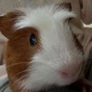 ヒメ日記 2026/02/01 21:06 投稿 メアリ Club Hearts