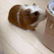 ヒメ日記 2026/02/04 14:01 投稿 メアリ Club Hearts