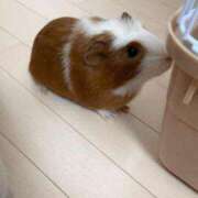 ヒメ日記 2026/02/16 18:46 投稿 メアリ Club Hearts