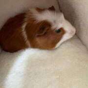 ヒメ日記 2026/02/18 21:29 投稿 メアリ Club Hearts