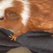 ヒメ日記 2026/02/23 23:22 投稿 メアリ Club Hearts