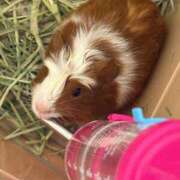 ヒメ日記 2026/03/01 20:56 投稿 メアリ Club Hearts