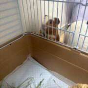 ヒメ日記 2026/03/27 13:24 投稿 メアリ Club Hearts