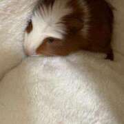 ヒメ日記 2026/04/01 19:28 投稿 メアリ Club Hearts