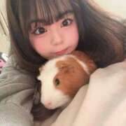 ヒメ日記 2026/04/04 14:01 投稿 メアリ Club Hearts