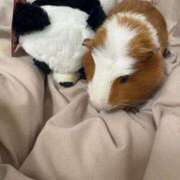 ヒメ日記 2026/04/05 10:31 投稿 メアリ Club Hearts