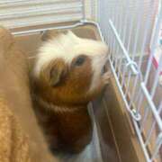 ヒメ日記 2026/04/09 11:56 投稿 メアリ Club Hearts