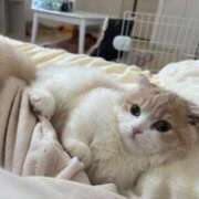 ヒメ日記 2026/05/13 10:48 投稿 メアリ Club Hearts