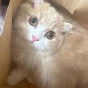 ヒメ日記 2026/06/21 23:58 投稿 メアリ Club Hearts