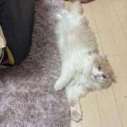 ヒメ日記 2026/06/25 21:18 投稿 メアリ Club Hearts